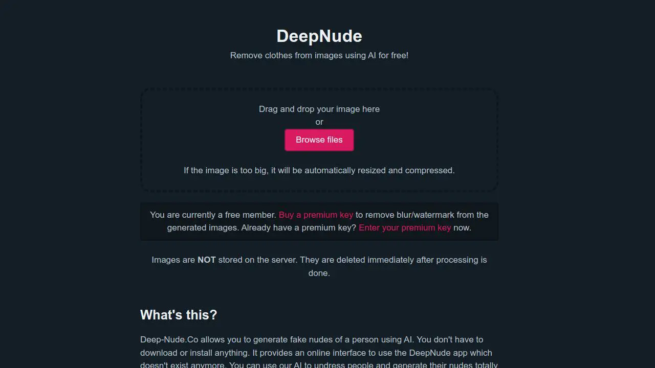 DeepNude - Open Startup™